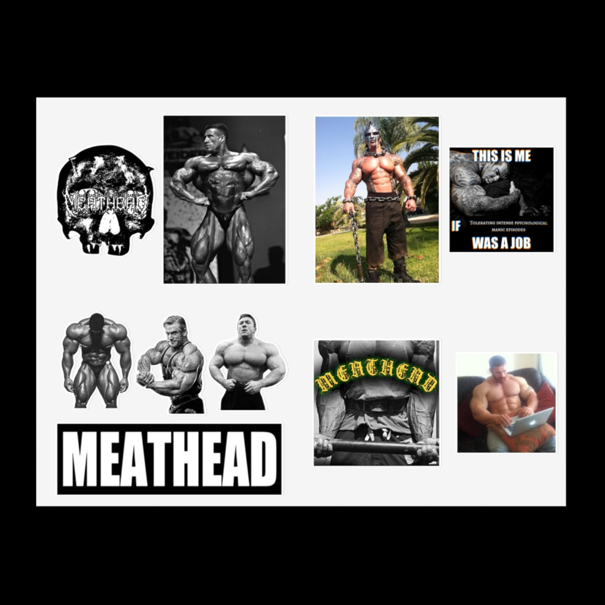 MEATHEAD STICKER SHEET